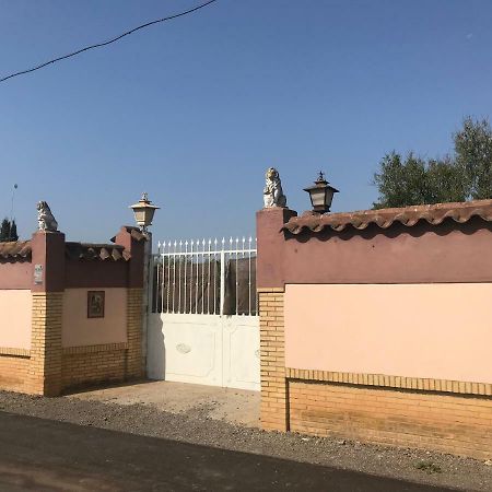 Villa Pilonga Dos Hermanas Exterior foto
